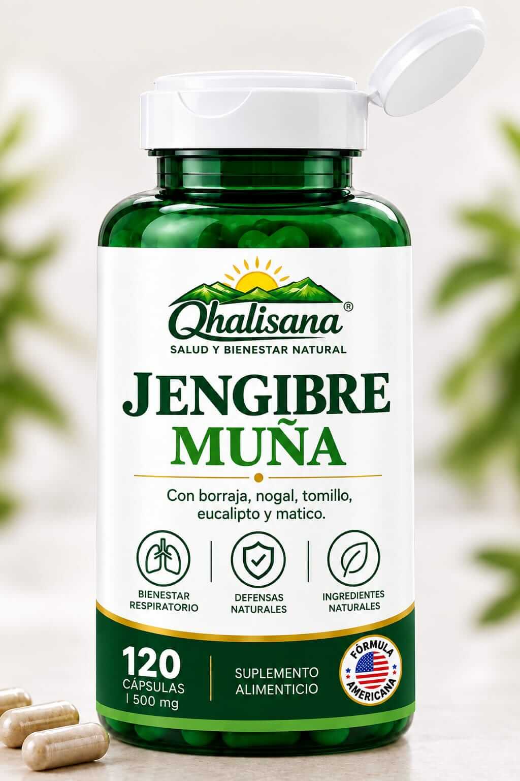 JENGIBRE + MUÑA JENGIBRE + MUÑA - Imagen 1